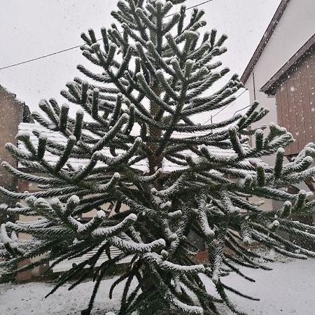 Ferme Les Iris Apartman Issenheim Kültér fotó