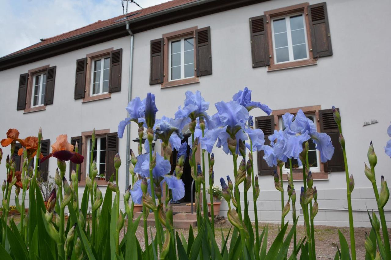 Ferme Les Iris Apartman Issenheim Kültér fotó